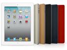 Apple Smart Cover Leder voor iPad 2 & 3