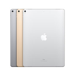 Apple iPad Pro 12.9 (2e gen)
