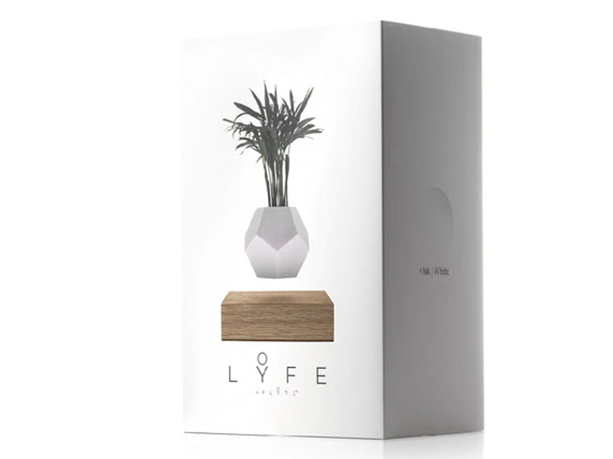 Flyte Lyfe Levitating Planter Black - Zwevende Bureau Plant