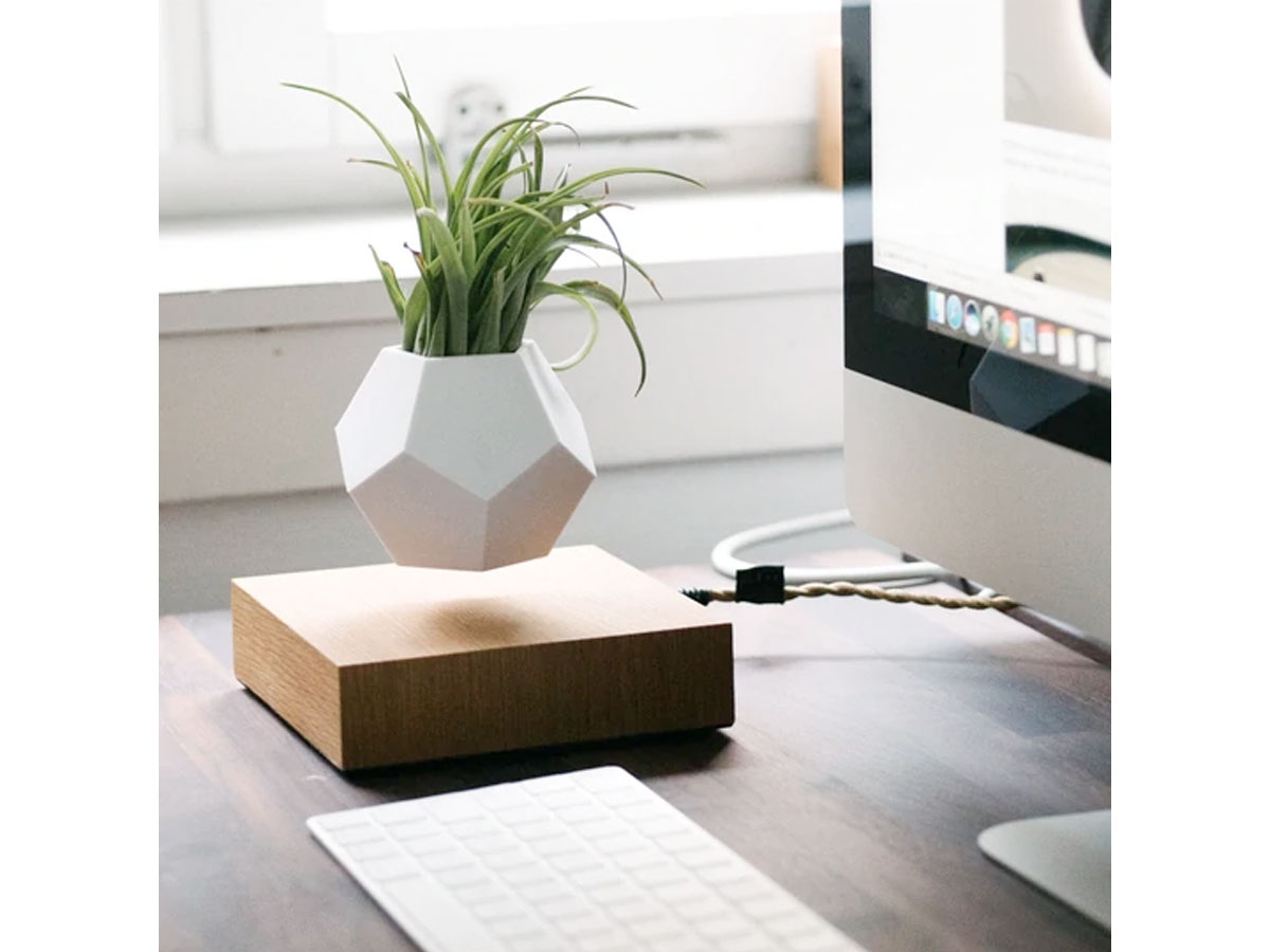 Flyte Lyfe Levitating Planter Black - Zwevende Bureau Plant