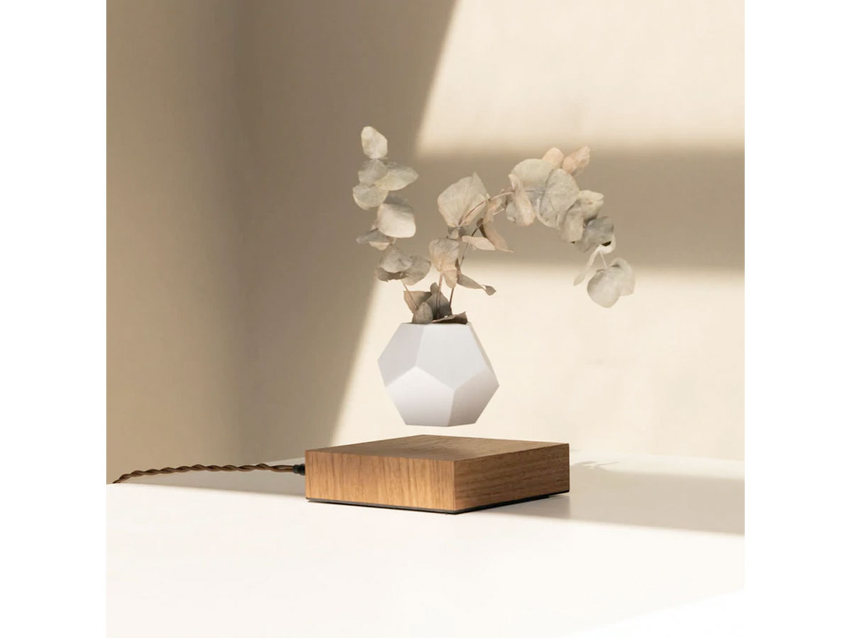 Flyte Lyfe Levitating Planter Black - Zwevende Bureau Plant