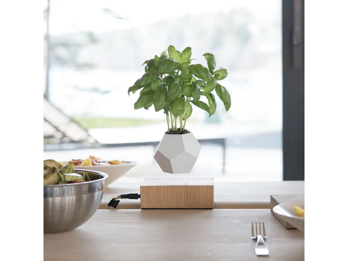 Flyte Lyfe Levitating Planter Black - Zwevende Bureau Plant