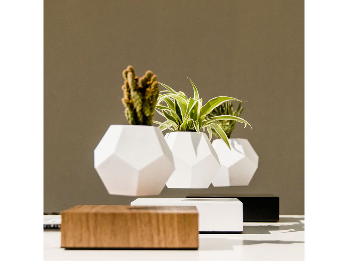 Flyte Lyfe Levitating Planter Black - Zwevende Bureau Plant