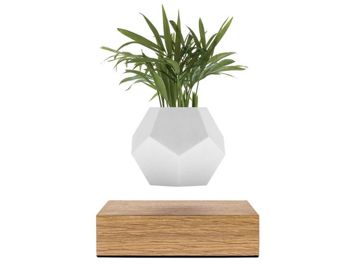 Flyte Lyfe Levitating Planter Oak - Zwevende Bureau Plant