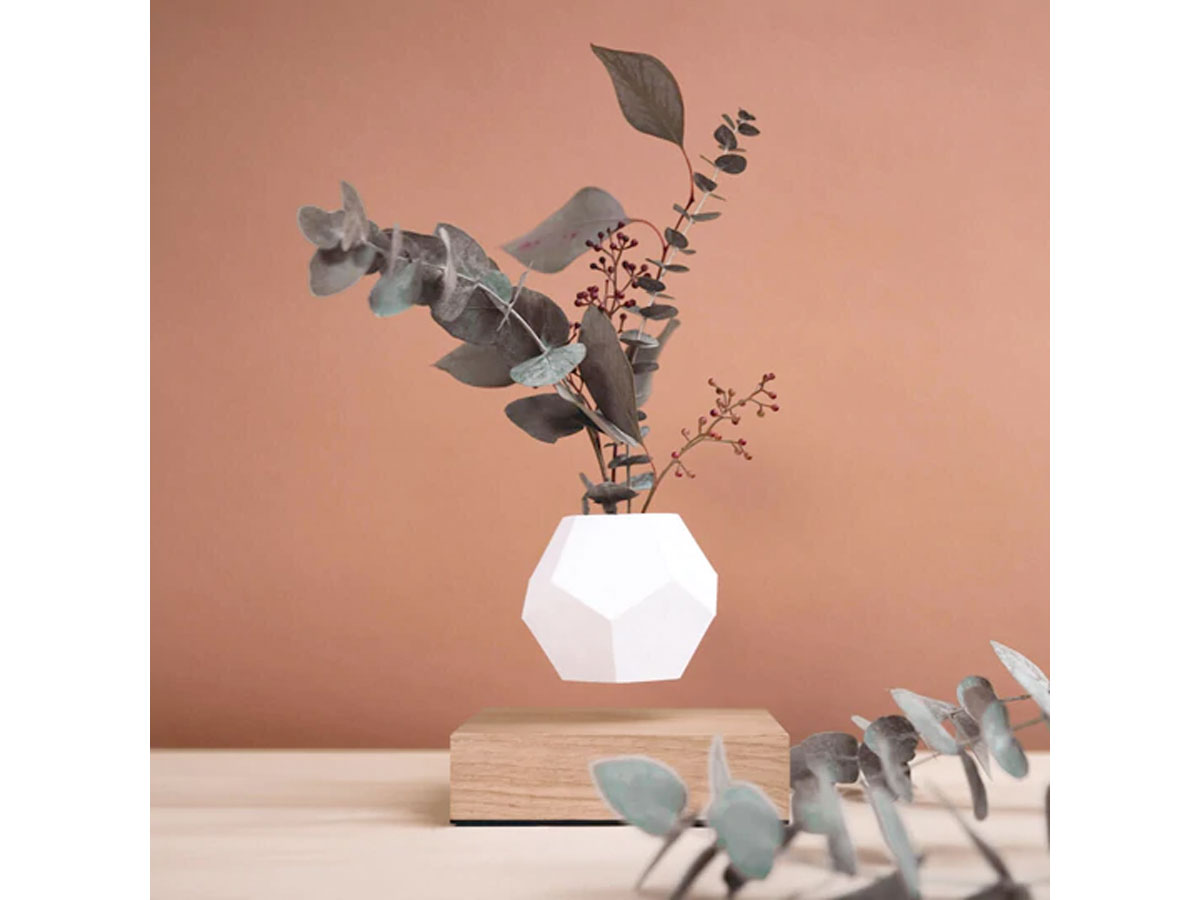 Flyte Lyfe Levitating Plant Walnut - Zwevende Bureau Planter