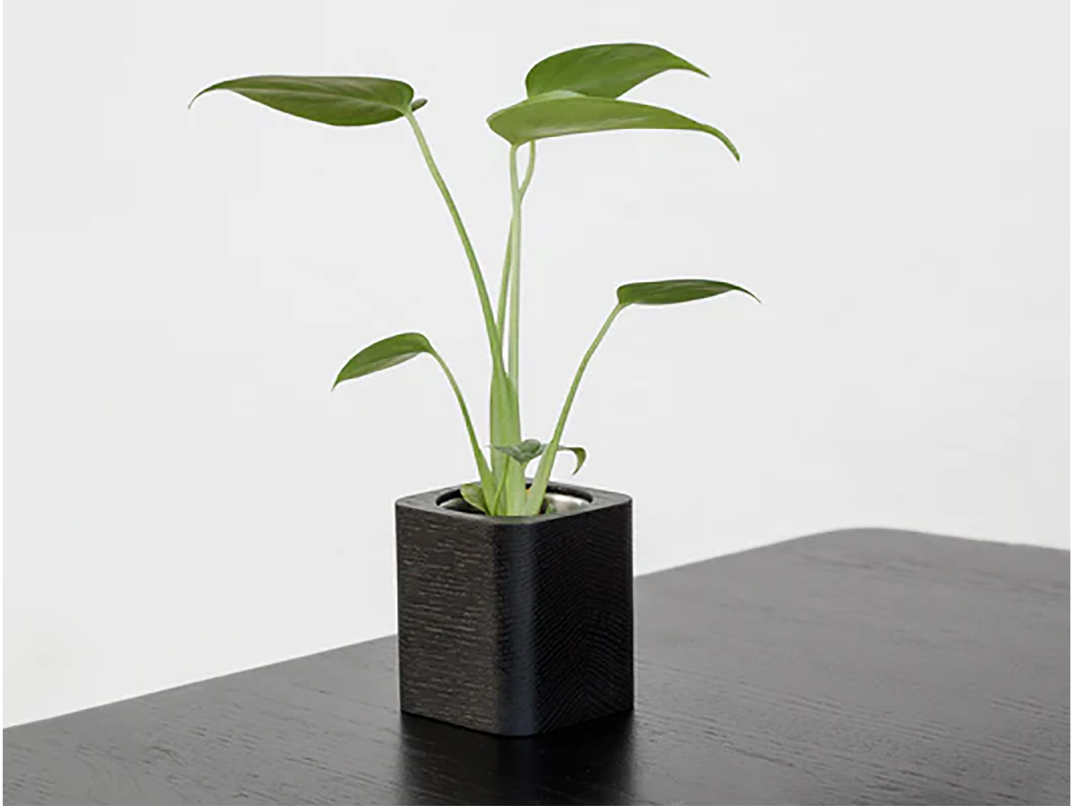 Oakywood Cubic Planter Black - Bureau Vetplant Potje