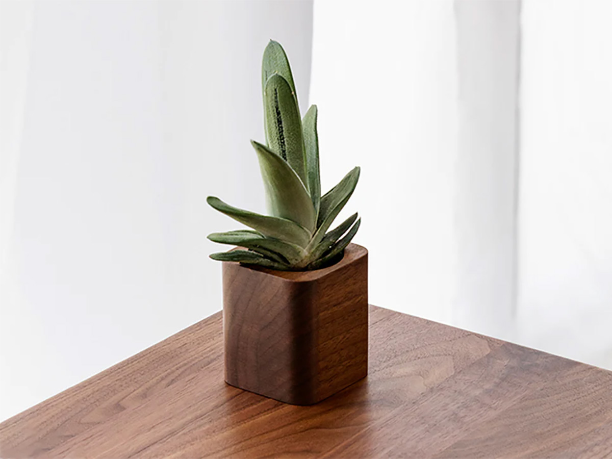 Oakywood Cubic Planter Walnut - Bureau Vetplant Potje