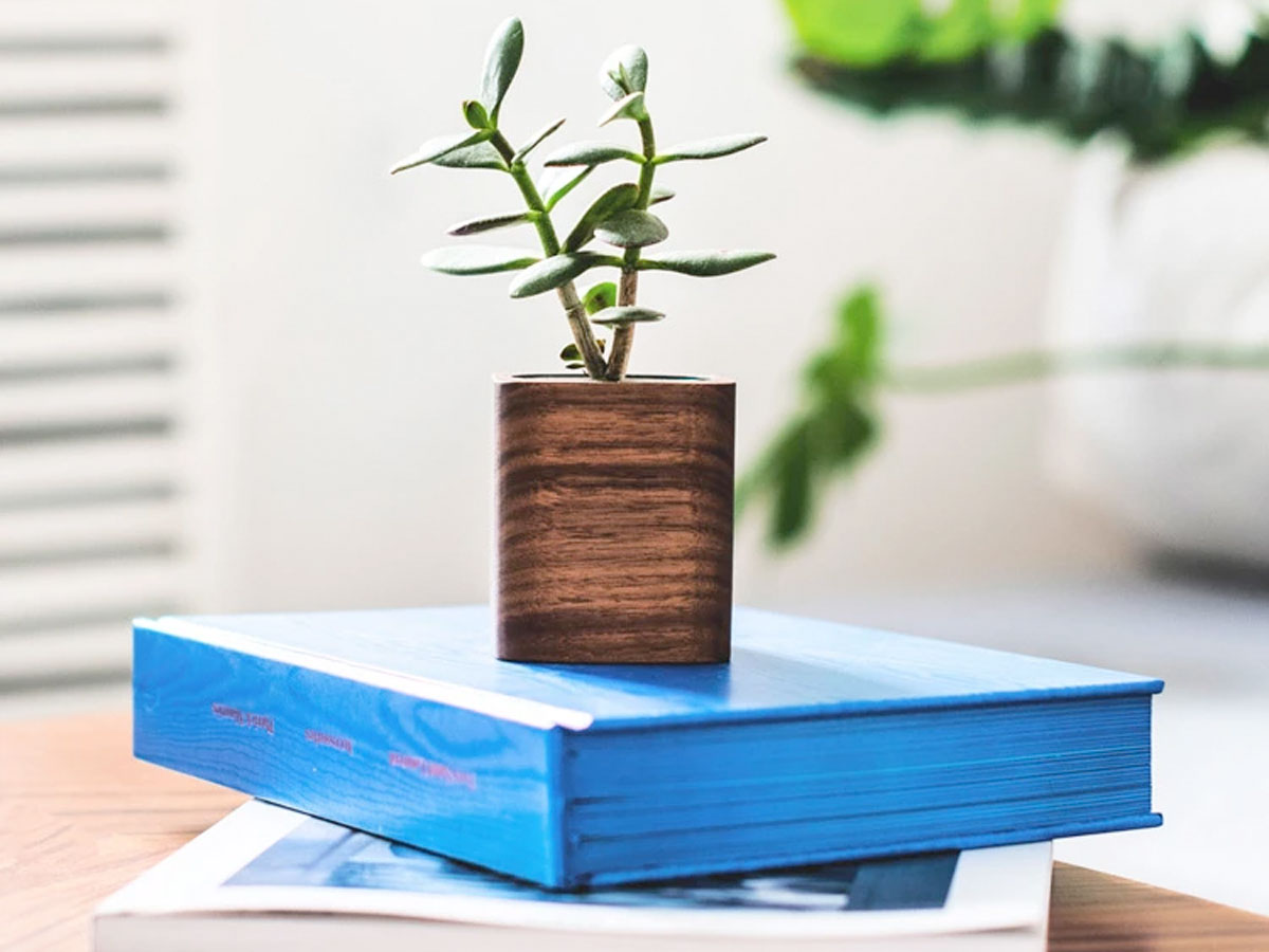 Oakywood Cubic Planter Walnut - Bureau Vetplant Potje