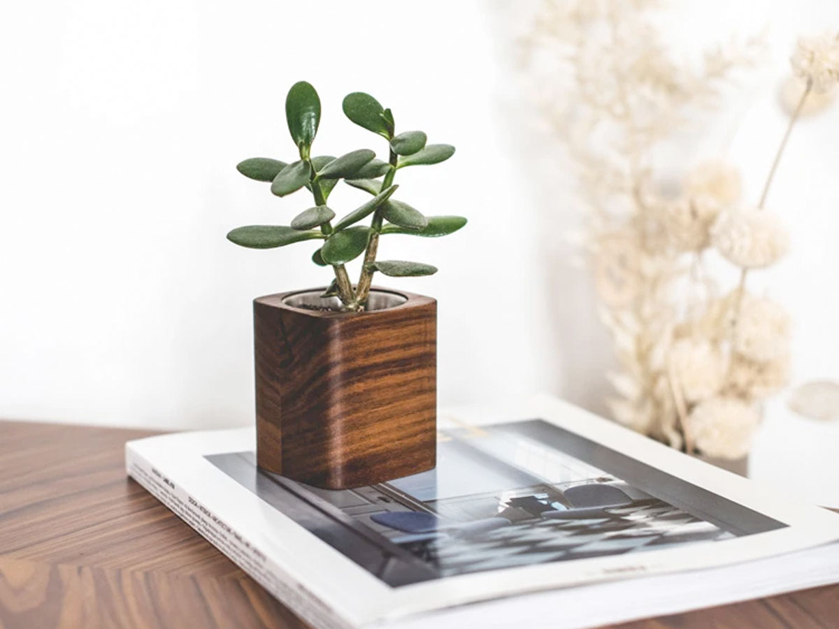 Oakywood Cubic Planter Walnut - Bureau Vetplant Potje