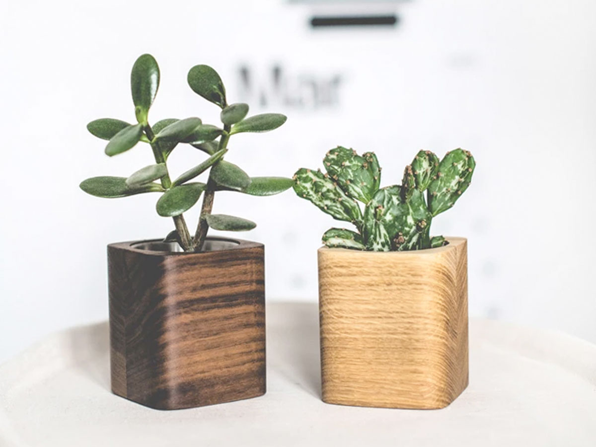 Oakywood Cubic Planter Walnut - Bureau Vetplant Potje