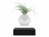 Flyte Lyfe Levitating Planter Black - Zwevende Bureau Plant