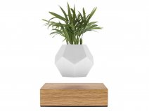 Flyte Lyfe Levitating Planter Oak - Zwevende Bureau Plant