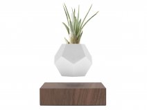 Flyte Lyfe Levitating Plant Walnut - Zwevende Bureau Planter