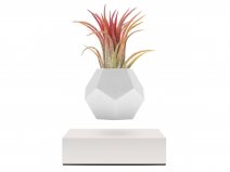 Flyte Lyfe Levitating Planter White - Zwevende Bureau Plant