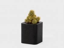 Oakywood Cubic Planter Black - Bureau Vetplant Potje