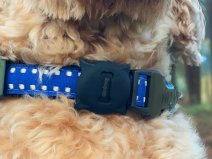 Beeep OneTag Honden Tracker voor Halsband - Apple & Android compatible